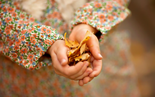 leaves1.png
