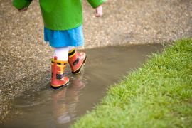 wellies.png